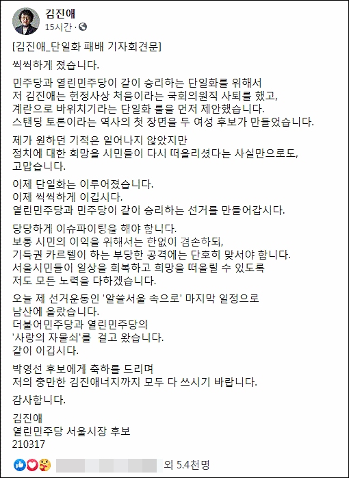 김진애 후보 페이스북 캡처.